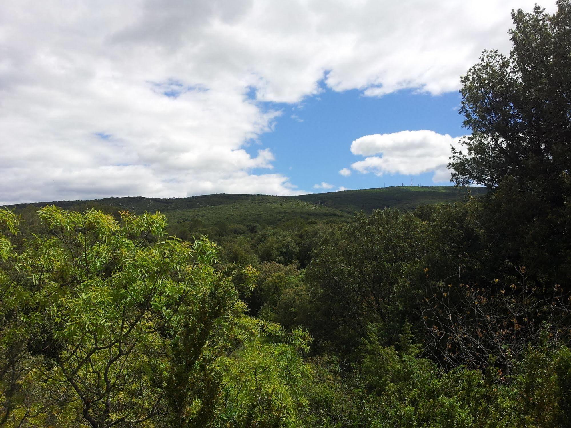 Mont Bouquet Lodge-Residence Hoteliere Brouzet-les-Ales エクステリア 写真